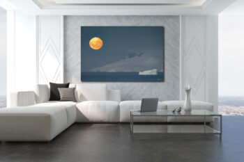 image of a humpback whale jumping under a full moon in Antarctica used in a luxury apartment interior design