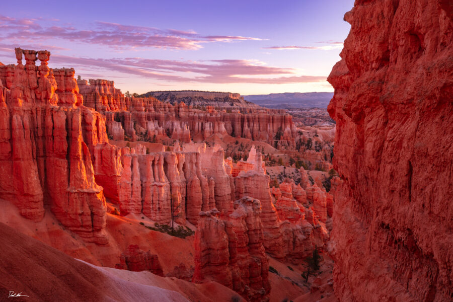 Sunrise photo of Bryce Canyon looking to the east with deep red colors