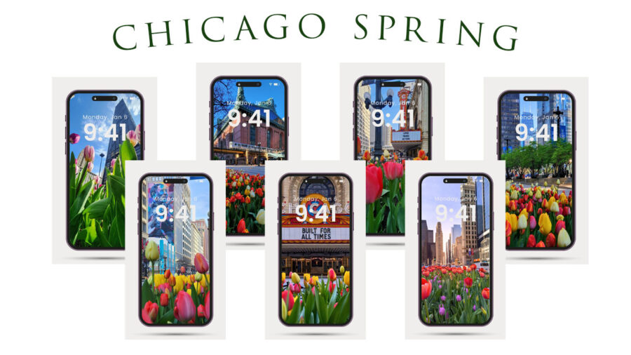 Visual of seven cellphones with spring flowers on the from Chicago