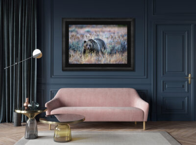 Large framed fine art print of a grizzly bear displayed above a couch in a modern luxury living room
