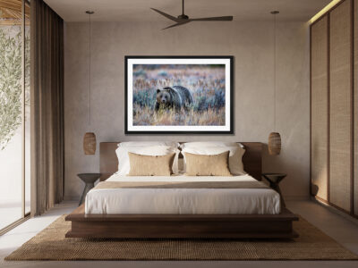 Large framed fine art print of a grizzly bear displayed above a bed in a modern hotel