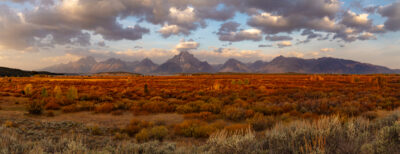 Large panoramic fine art print of the grand teton mountains from willow flats overlook