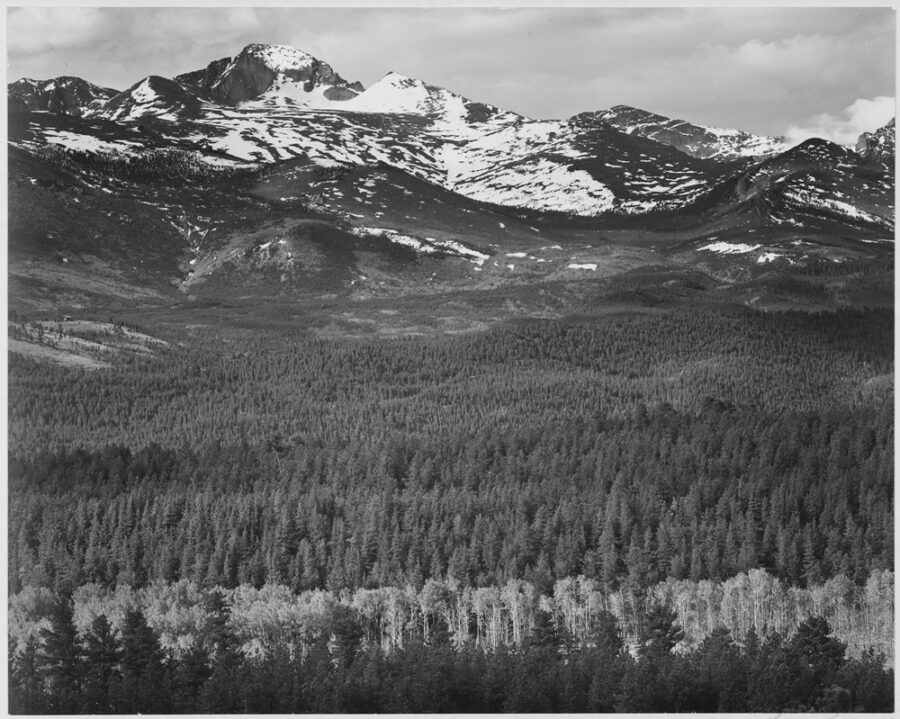 black and white photograph of trees and a mountain in colorado's Rocky Mountain National Park