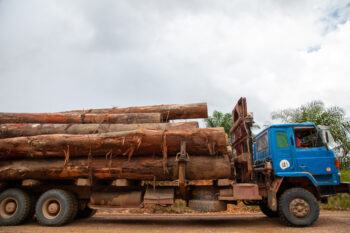 photograph of a logging truck in Borneo
