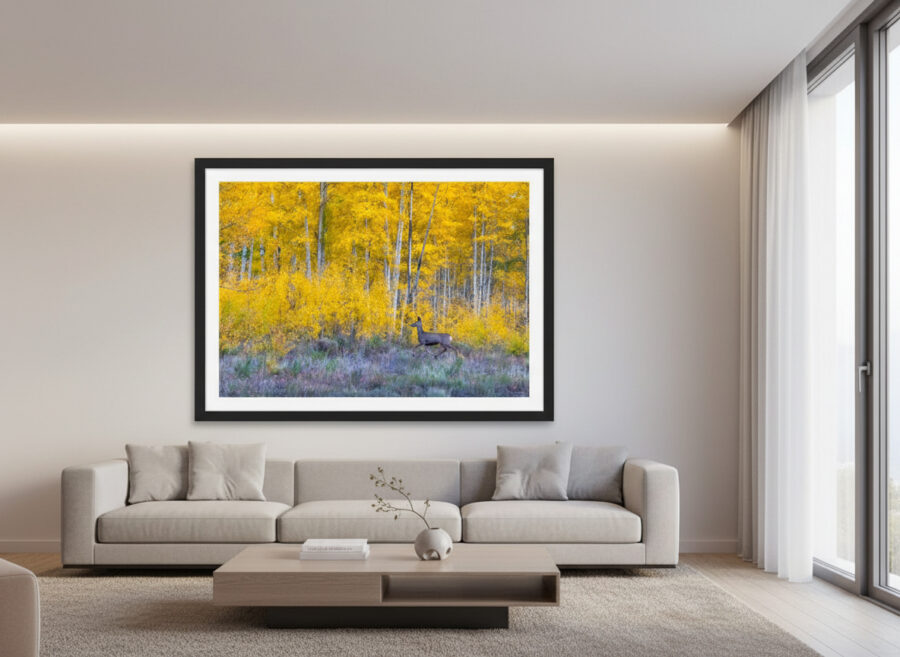 large framed fine art print of a deer in aspen trees displayed in the living room of a modern luxury home