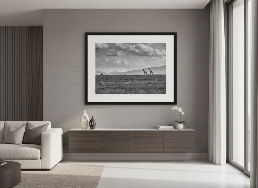 fine art image of giraffes displayed in a luxury home