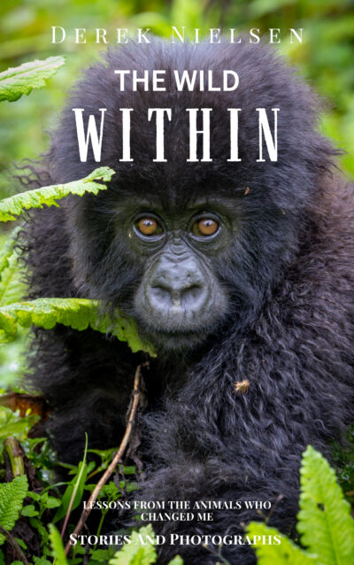 Photography book by author and photographer Derek Nielsen