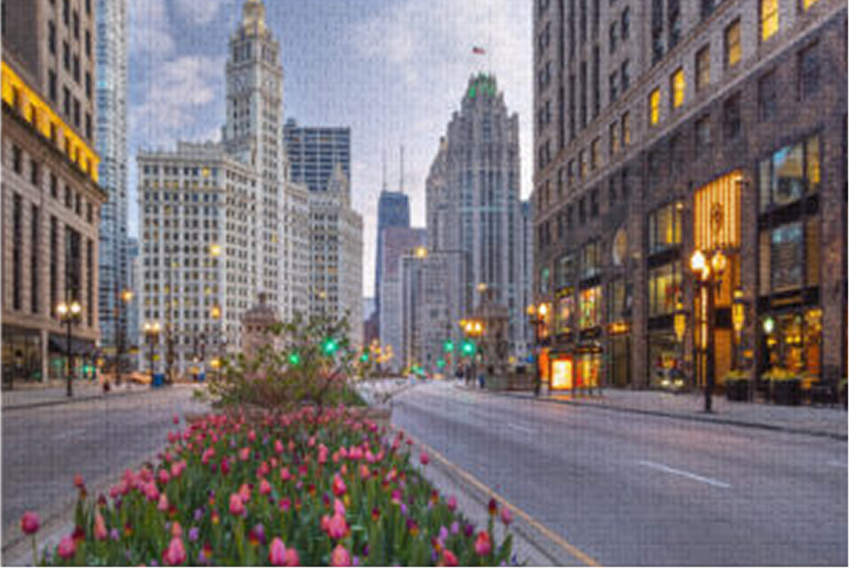 jigsaw puzzle with tin magnificent mile