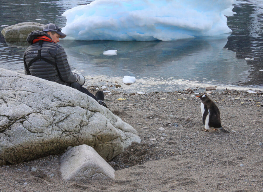 Photograph of photographer Derek Nielsen in Antarctica with a penguin