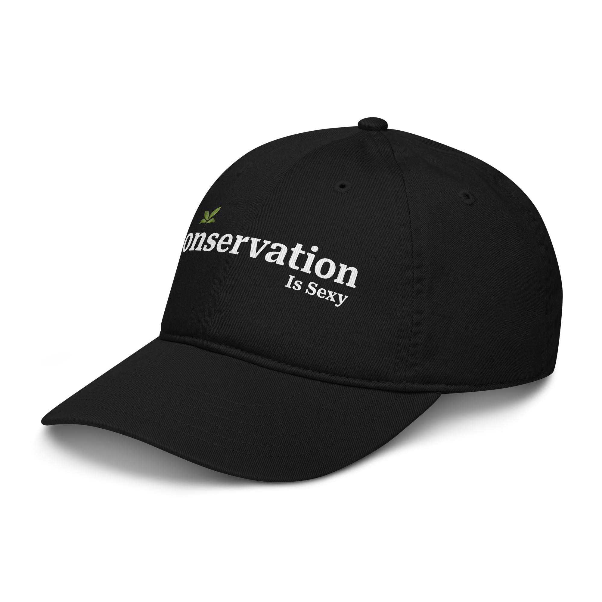 organic-baseball-cap-black-left-front-6a73a04d9ff32.jpg