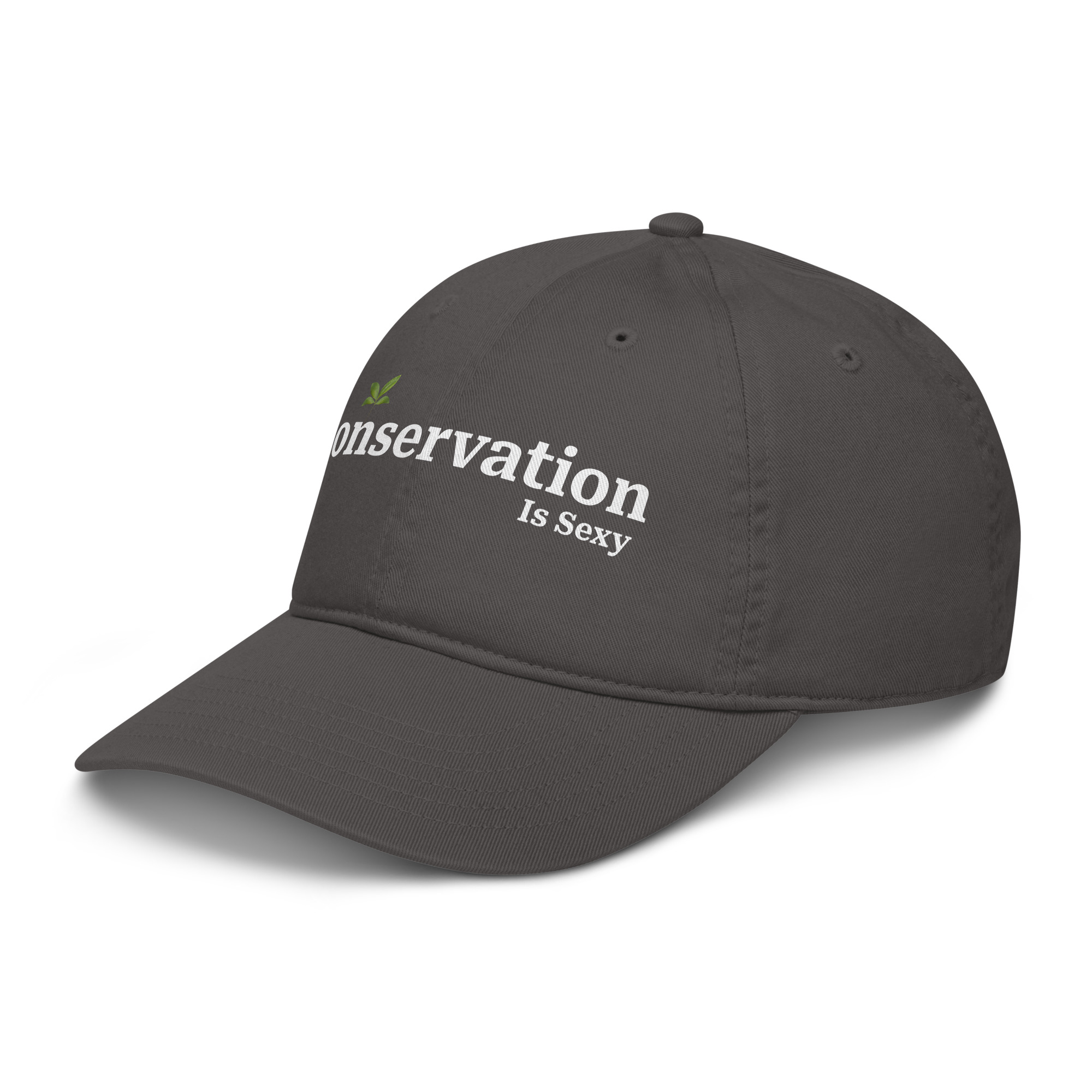 organic-baseball-cap-charcoal-left-front-6a73a04d9ff85.jpg
