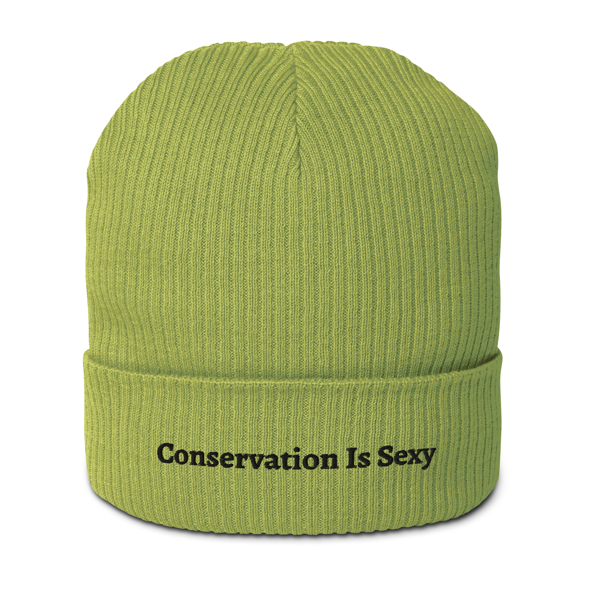 organic-ribbed-beanie-leaf-green-front-6a73b65fa668d.jpg