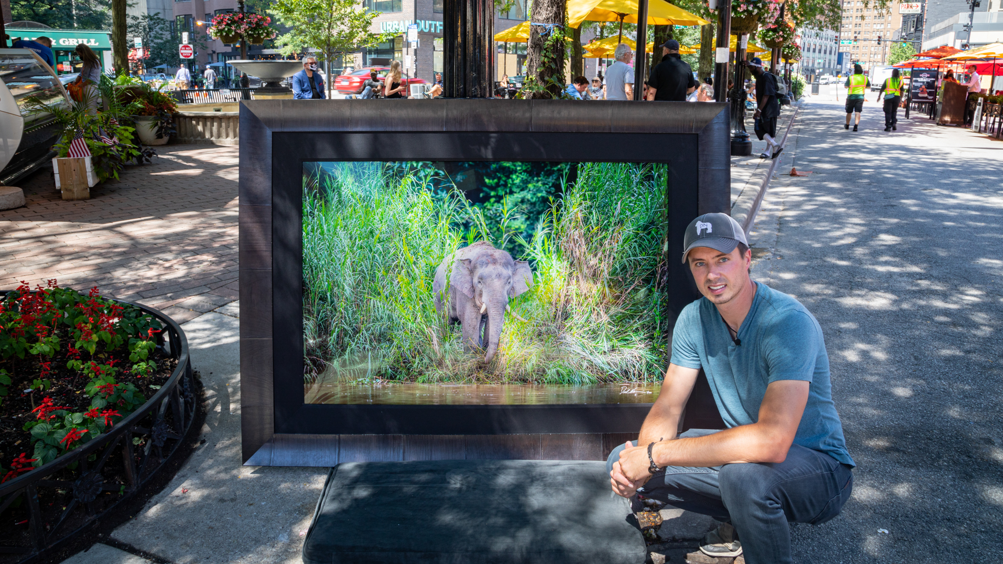derek with elephant framed
